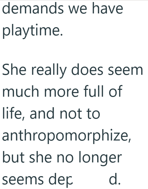 demands we have playtime. She really does seem much more full of life, and not to anthropomorphize, but she no longer seems dep d.