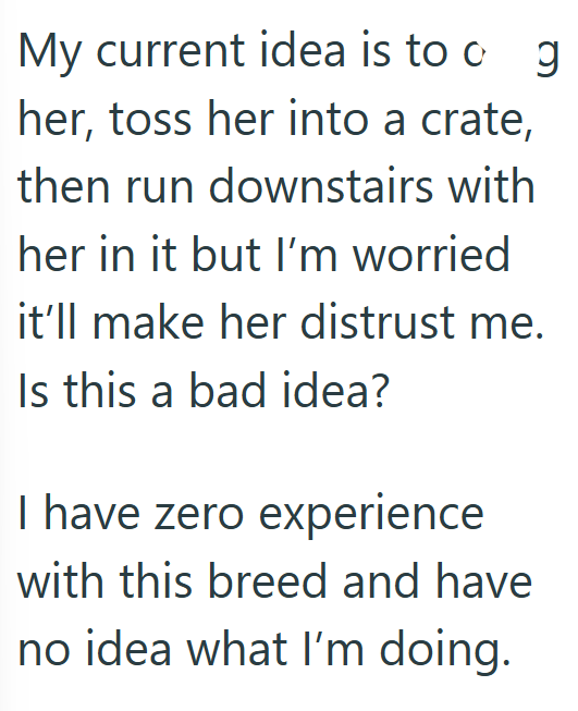 My current idea is to o g her, toss her into a crate, then run downstairs with her in it but I'm worried it'll make her distrust me. Is this a bad idea? I have zero experience with this breed and have no idea what I'm doing.