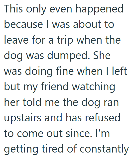 This only even happened because I was about to leave for a trip when the dog was dumped. She was doing fine when I left but my friend watching her told me the dog ran upstairs and has refused to come out since. I'm getting tired of constantly
