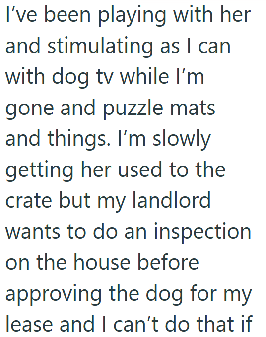 I've been playing with her and stimulating as I can with dog tv while I'm gone and puzzle mats and things. I'm slowly getting her used to the crate but my landlord wants to do an inspection on the house before approving the dog for my lease and I can't do that if