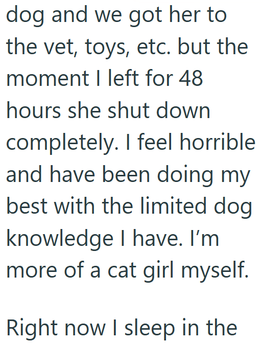 dog and we got her to the vet, toys, etc. but the moment I left for 48 hours she shut down completely. I feel horrible and have been doing my best with the limited dog knowledge I have. I'm more of a cat girl myself. Right now I sleep in the