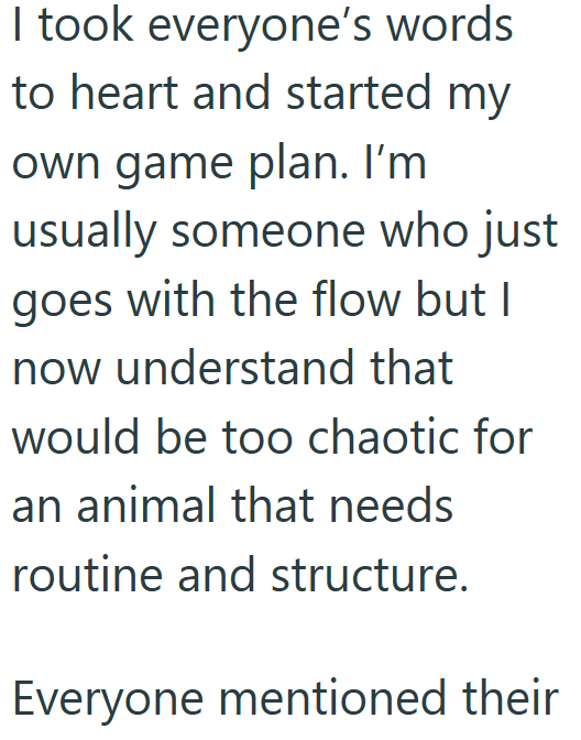 I took everyone's words to heart and started my own game plan. I'm usually someone who just goes with the flow but I now understand that would be too chaotic for an animal that needs routine and structure. Everyone mentioned their