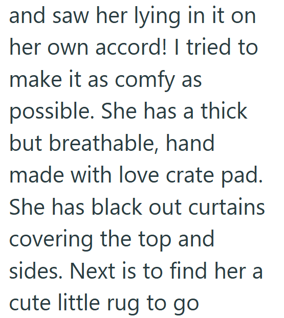 and saw her lying in it on her own accord! I tried to make it as comfy as possible. She has a thick but breathable, hand made with love crate pad. She has black out curtains covering the top and sides. Next is to find her a cute little rug to go