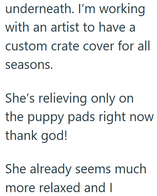underneath. I'm working with an artist to have a custom crate cover for all seasons. She's relieving only on the puppy pads right now thank god! She already seems much more relaxed and I