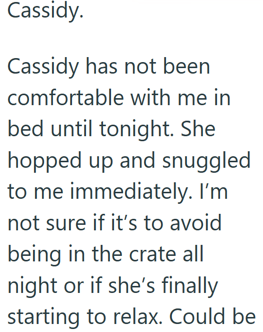 Cassidy. Cassidy has not been comfortable with me in bed until tonight. She hopped up and snuggled to me immediately. I'm not sure if it's to avoid being in the crate all night or if she's finally starting to relax. Could be