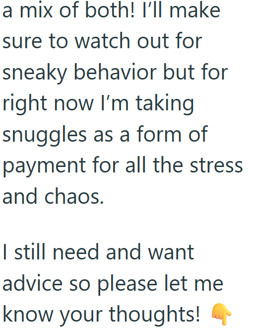 a mix of both! I'll make sure to watch out for sneaky behavior but for right now I'm taking snuggles as a form of payment for all the stress and chaos. I still need and want advice so please let me know your thoughts!