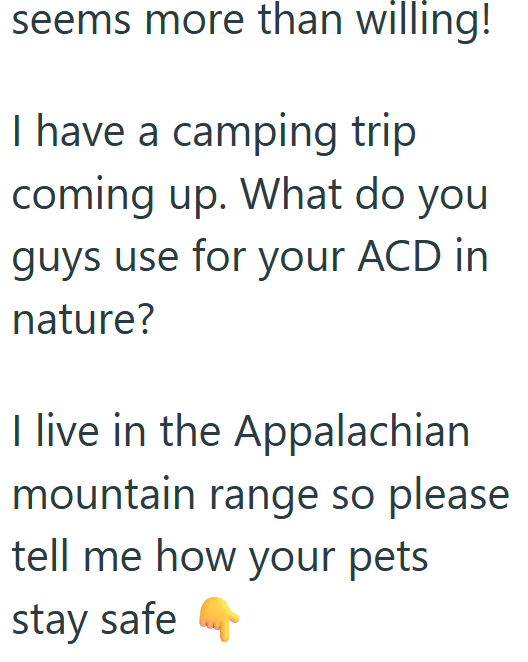 seems more than willing! I have a camping trip coming up. What do you guys use for your ACD in nature? I live in the Appalachian mountain range so please tell me how your pets stay safe