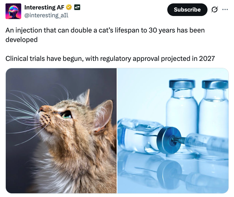 Interesting AF @interesting_all Subscribe ... An injection that can double a cat's lifespan to 30 years has been developed Clinical trials have begun, with regulatory approval projected in 2027