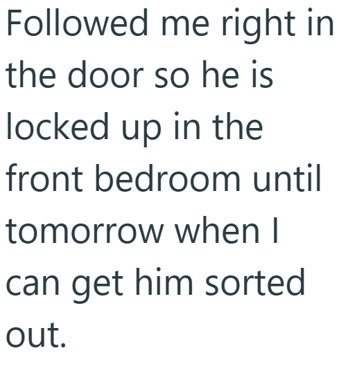 Followed me right in the door so he is locked up in the front bedroom until tomorrow when I can get him sorted out.