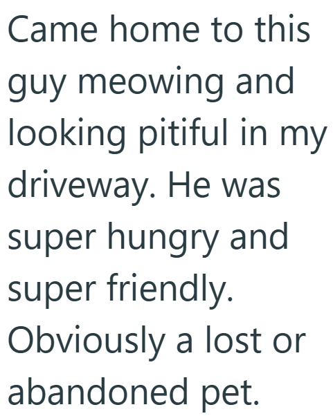 Came home to this guy meowing and looking pitiful in my driveway. He was super hungry and super friendly. Obviously a lost or abandoned pet.