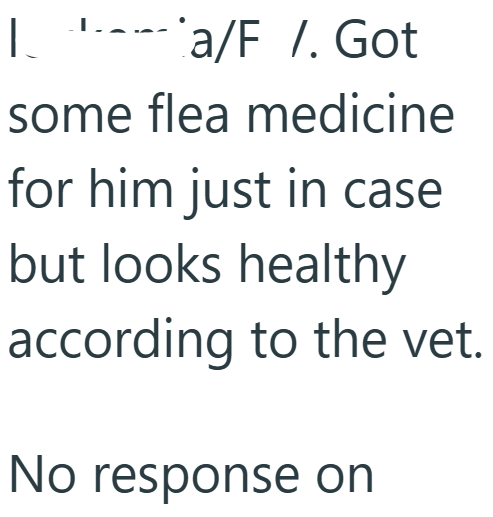 | I a/F /. Got some flea medicine for him just in case but looks healthy according to the vet. No response on