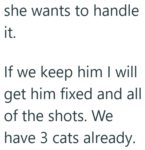 she wants to handle it. If we keep him I will get him fixed and all of the shots. We have 3 cats already.