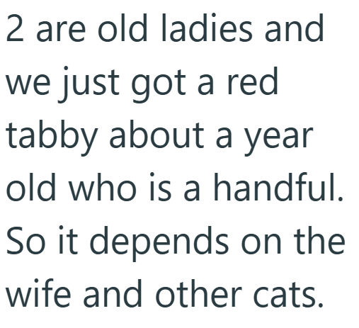 2 are old ladies and we just got a red tabby about a year old who is a handful. So it depends on the wife and other cats.
