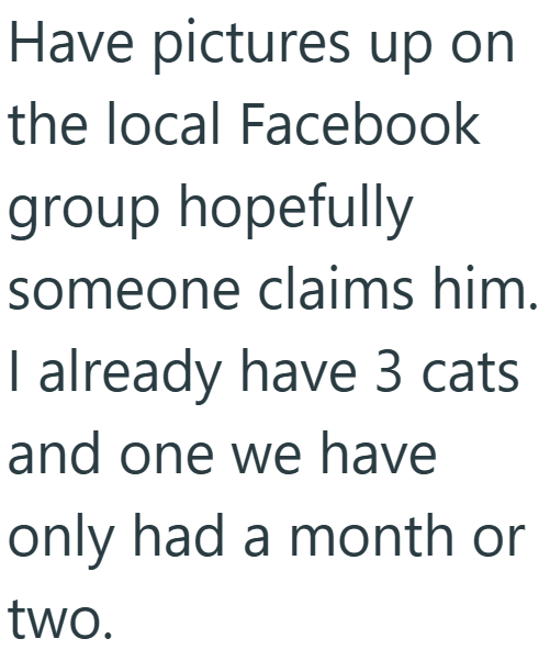 Have pictures up on the local Facebook group hopefully someone claims him. I already have 3 cats and one we have only had a month or two.