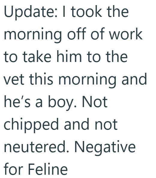 Update: I took the morning off of work to take him to the vet this morning and he's a boy. Not chipped and not neutered. Negative for Feline