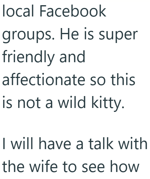 local Facebook groups. He is super friendly and affectionate so this is not a wild kitty. I will have a talk with the wife to see how