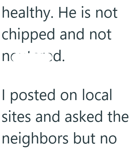 healthy. He is not chipped and not nc od. I posted on local sites and asked the neighbors but no