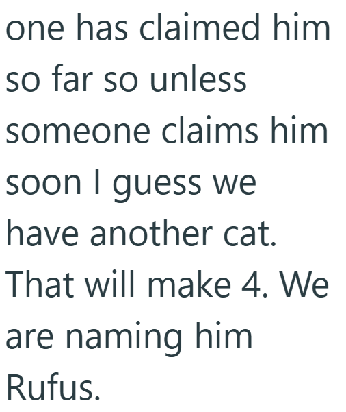 one has claimed him so far so unless someone claims him soon I guess we have another cat. That will make 4. We are naming him Rufus.