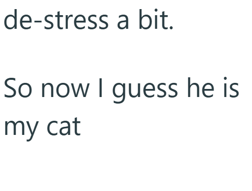 de-stress a bit. So now I guess he is my cat