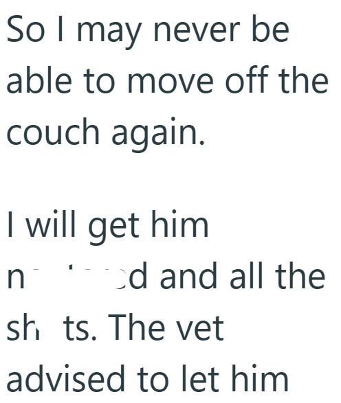 So I may never be able to move off the couch again. I will get him n od and all the sh ts. The vet advised to let him