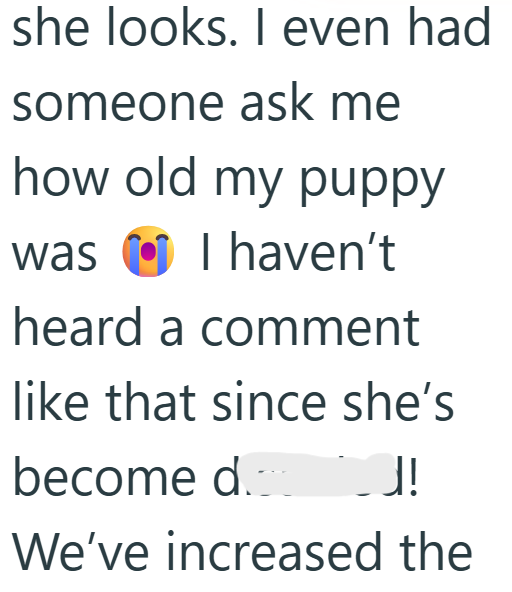 she looks. I even had someone ask me how old my puppy was I haven't heard a comment like that since she's become d.c J! We've increased the