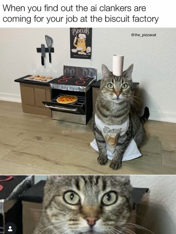 When you find out the ai clankers are coming for your job at the biscuit factory BISCUITS the pizzacat Biaculk @the_pizzacat