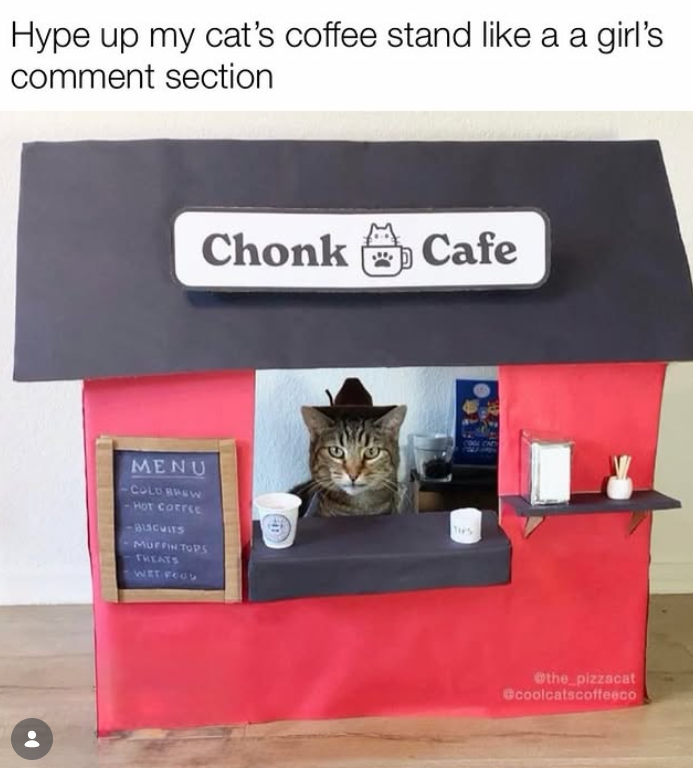 Hype up my cat's coffee stand like a a girl's comment section Chonk Cafe MENU COLD BREW -HOT COFFEE -BISCUITS MUFFIN TOPS TREATS WIT FOOD THS @the_pizzacat coolcatscoffeeco