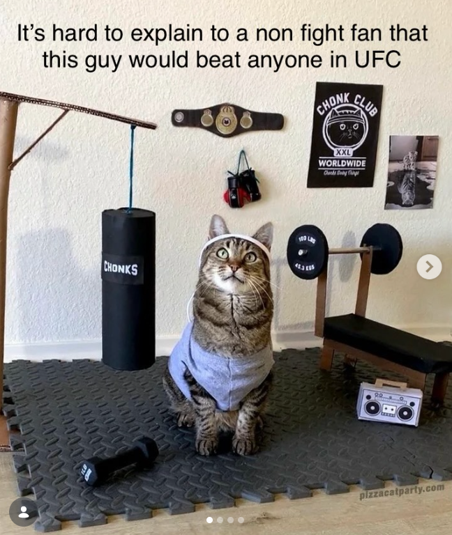 It's hard to explain to a non fight fan that this guy would beat anyone in UFC CHONK CLUB CHONKS 1000 XXL WORLDWIDE Chunks Day Things > VEN pizzacatparty.com