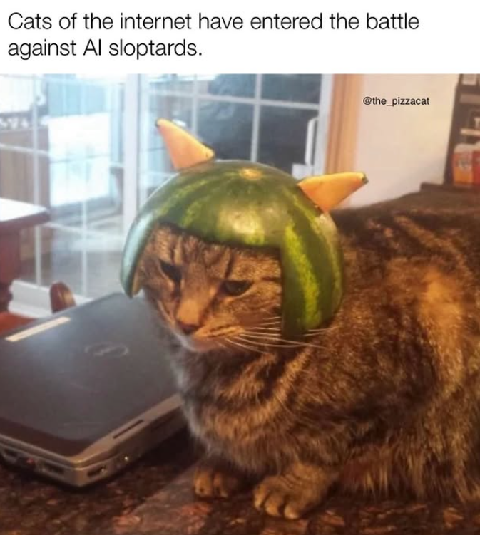 Cats of the internet have entered the battle against Al sloptards. @the_pizzacat