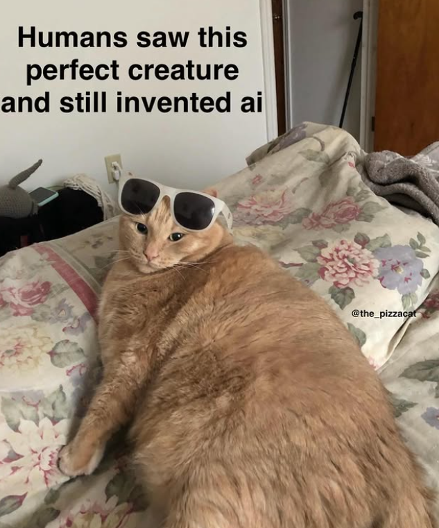 Humans saw this perfect creature and still invented ai @the_pizzacat