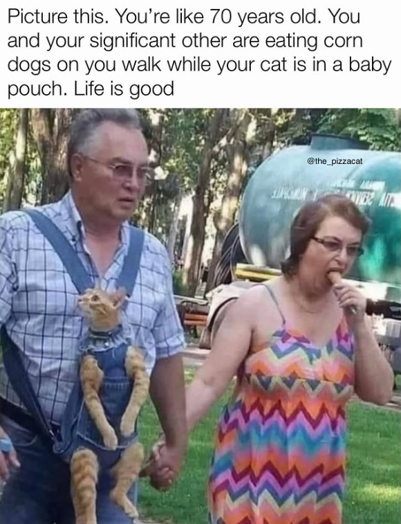 Picture this. You're like 70 years old. You and your significant other are eating corn dogs on you walk while your cat is in a baby pouch. Life is good @the_pizzacat SUNAMUN VIER AT