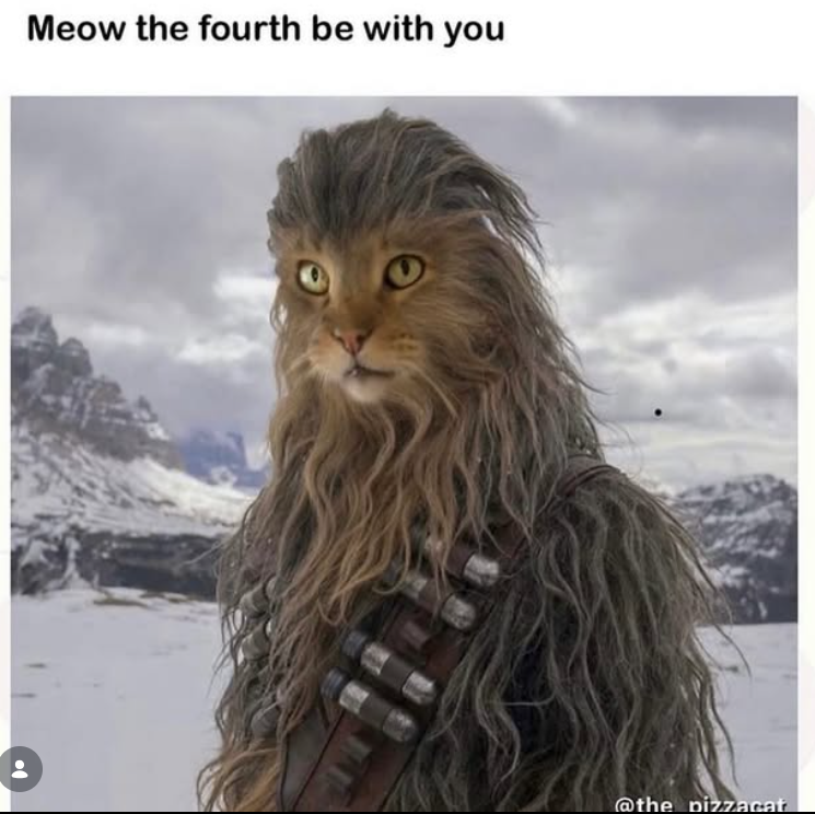 Meow the fourth be with you @the pizzacat