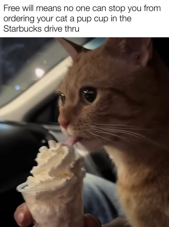 Free will means no one can stop you from ordering your cat a pup cup in the Starbucks drive thru