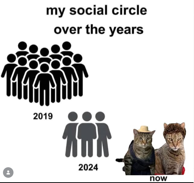 my social circle over the years עעעשן 2019 11 2024 now •