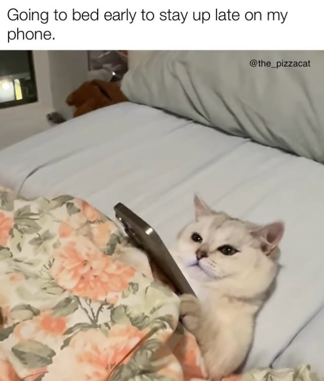 Going to bed early to stay up late on my phone. @the_pizzacat