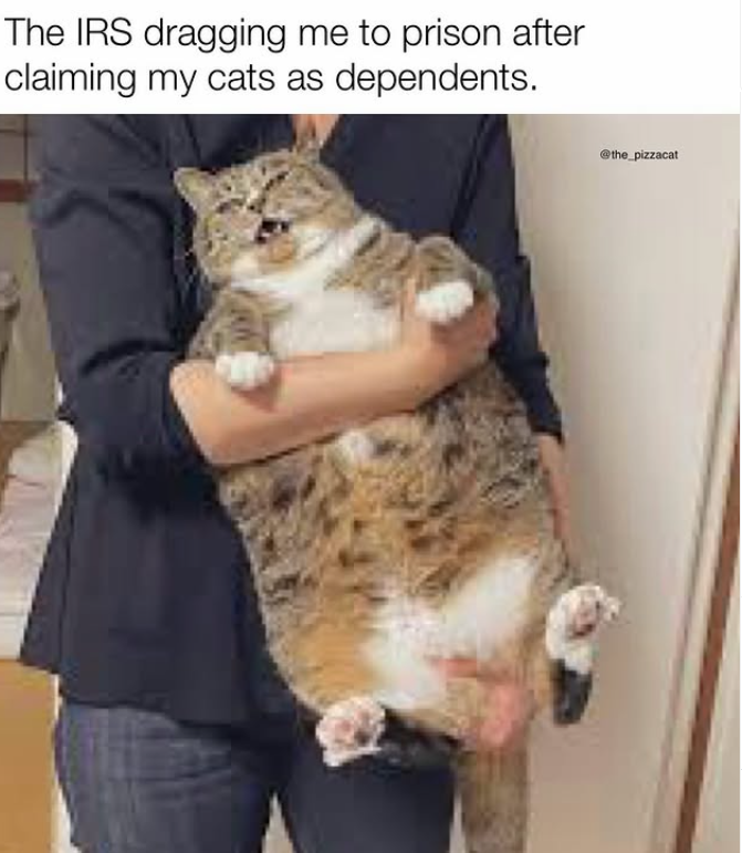 The IRS dragging me to prison after claiming my cats as dependents. @the_pizzacat