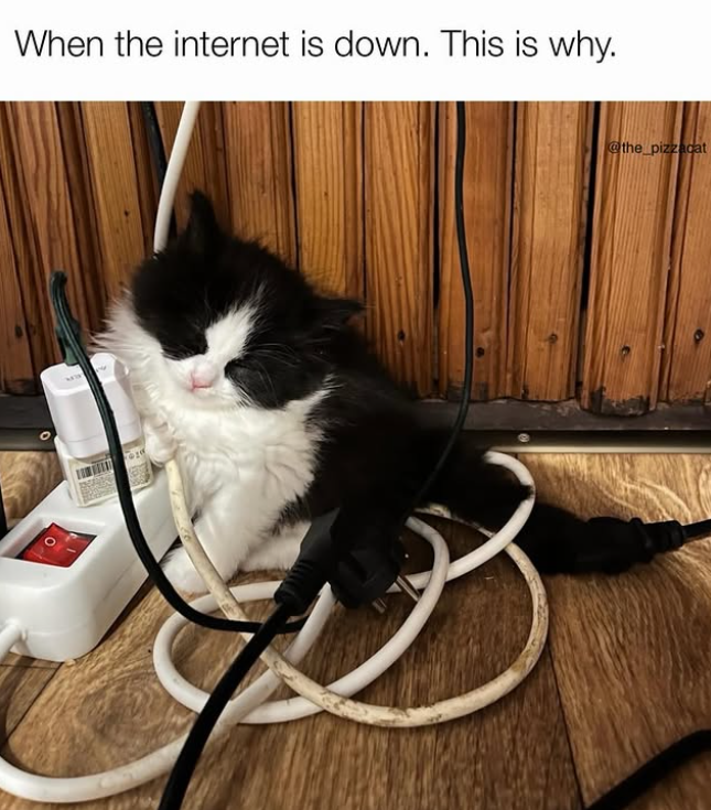When the internet is down. This is why. @the_pizzacat