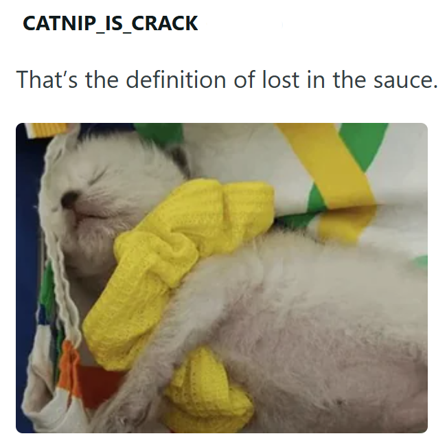 CATNIP_IS_CRACK That's the definition of lost in the sauce.