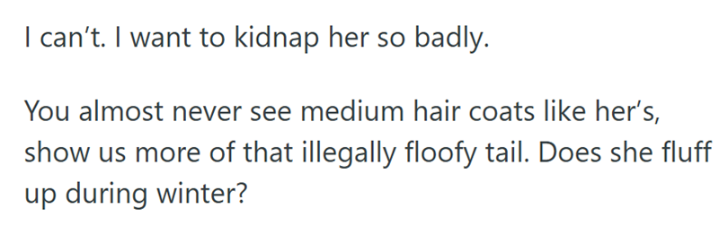 I can't. I want to kidnap her so badly. You almost never see medium hair coats like her's, show us more of that illegally floofy tail. Does she fluff up during winter?
