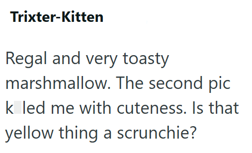 Trixter-Kitten Regal and very toasty marshmallow. The second pic k led me with cuteness. Is that yellow thing a scrunchie?