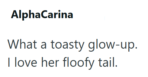 AlphaCarina What a toasty glow-up. I love her floofy tail.