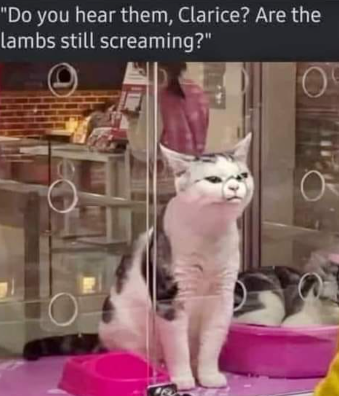 "Do you hear them, Clarice? Are the lambs still screaming?"