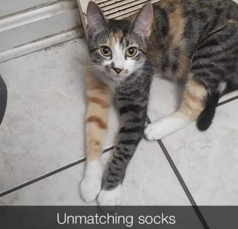 Unmatching socks