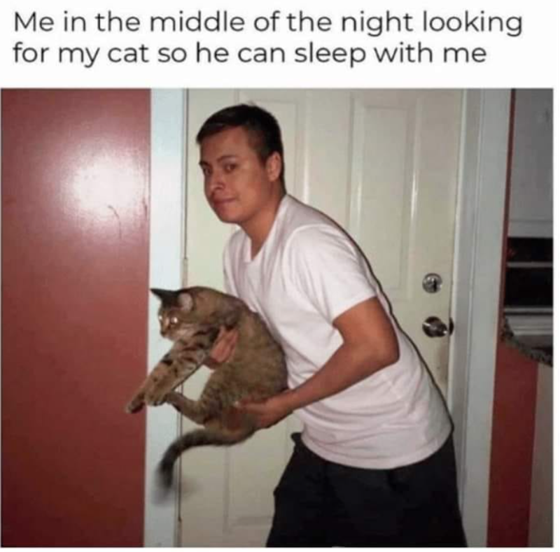 Me in the middle of the night looking for my cat so he can sleep with me