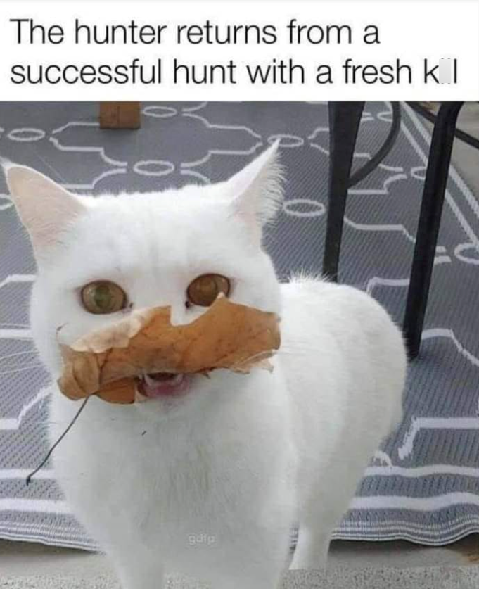 The hunter returns from a successful hunt with a fresh kl gdfp
