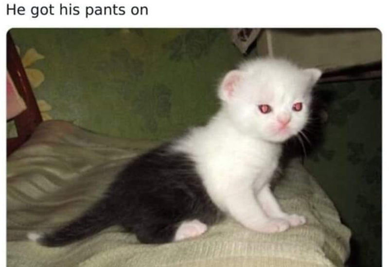 He got his pants on