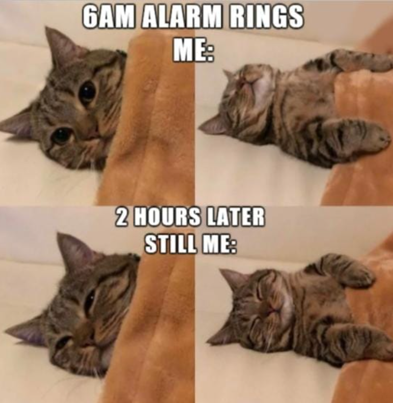 6AM ALARM RINGS ME: 2 HOURS LATER STILL ME: