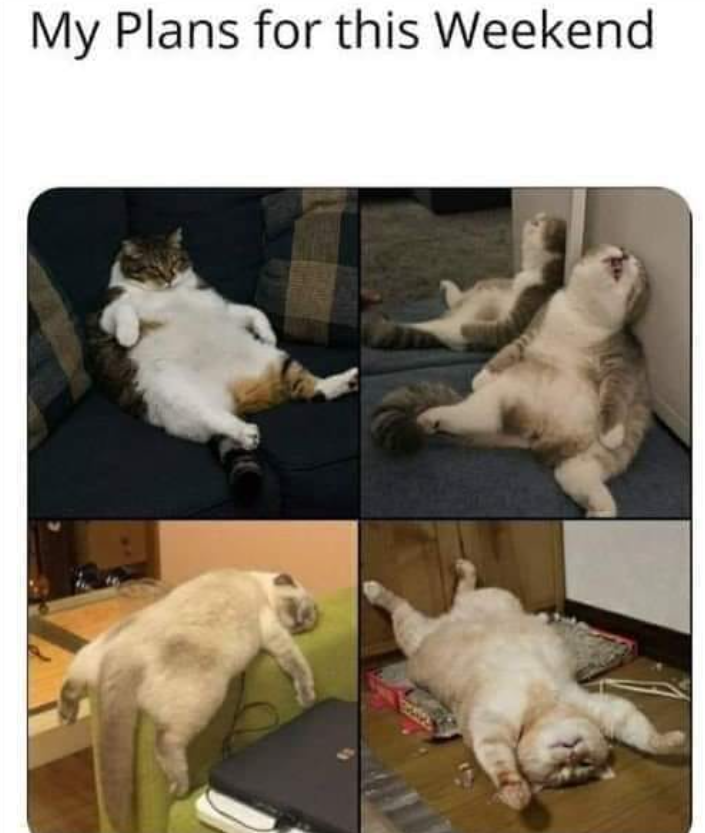 My Plans for this Weekend