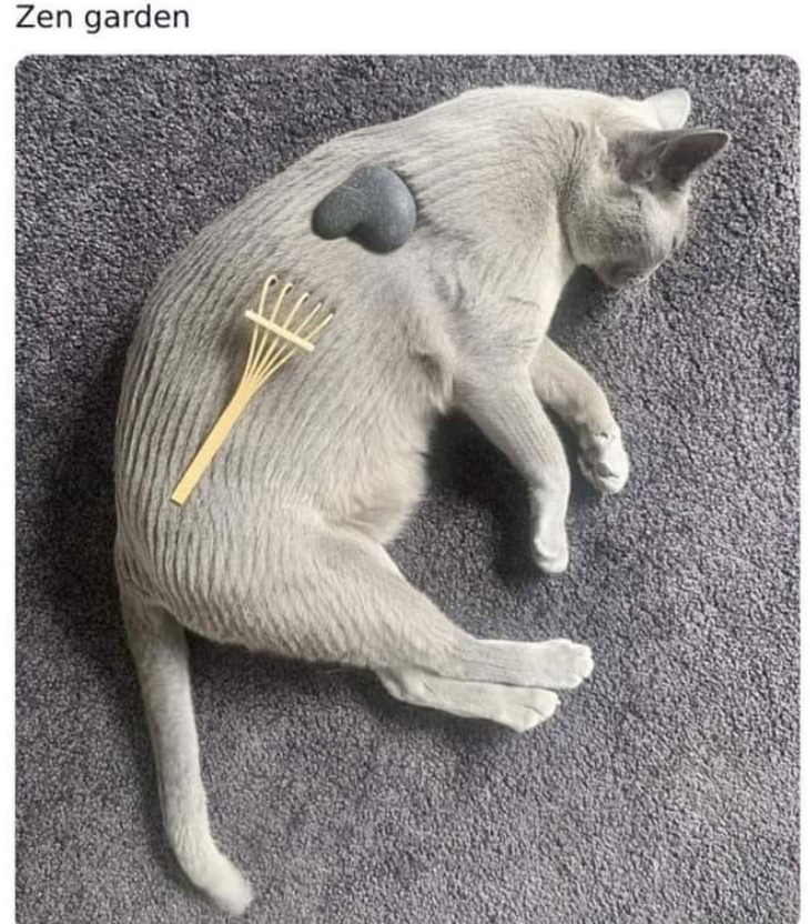 Zen garden