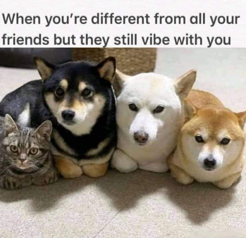 When you're different from all your friends but they still vibe with you